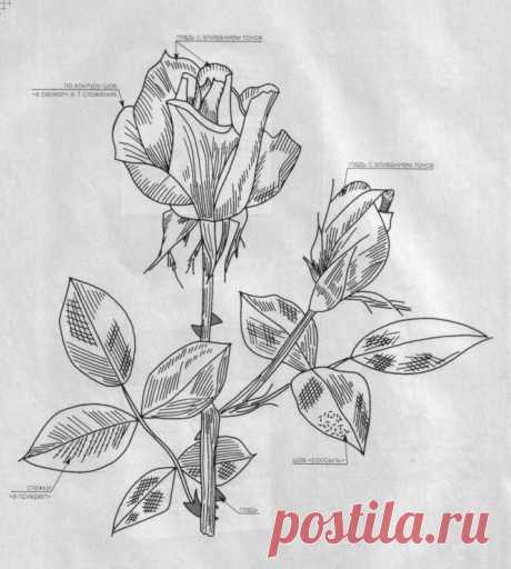 (6) Gallery.ru / Фото #3 - Вышитые картины - nadiusha