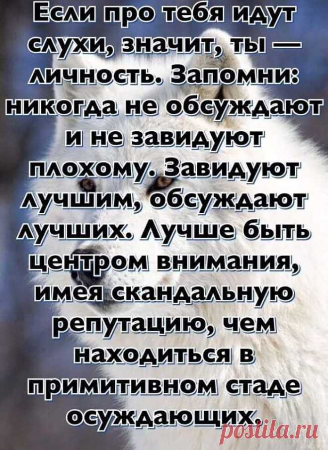 КАТЕРИНА БЕЛОУСОВА - КАТЕРИНА БЕЛОУСОВА