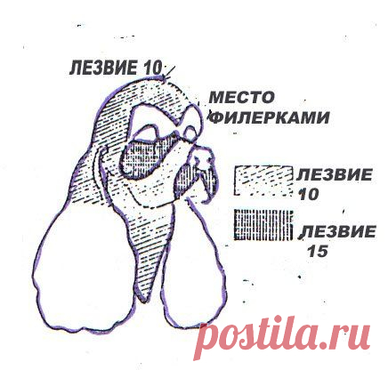 Стрижка Кокер спаниеля - ГРУМЕРЫ И ПАРИКМАХЕРЫ <!--%IFTH1%0%-->- УХОД ЗА СОБАКОЙ<!--%IFEN1%0%--> - Каталог статей - СОБАКИ,МИР СОБАК,ФОРУМ О СОБАКАХ