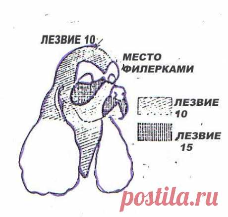 Стрижка Кокер спаниеля - ГРУМЕРЫ И ПАРИКМАХЕРЫ &lt;!--%IFTH1%0%--&gt;- УХОД ЗА СОБАКОЙ&lt;!--%IFEN1%0%--&gt; - Каталог статей - СОБАКИ,МИР СОБАК,ФОРУМ О СОБАКАХ