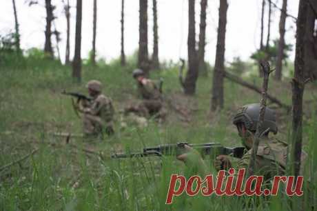 Немецкий наемник Партецке ликвидирован в районе Краматорска. Боевик являлся бывшим солдатом Бундесвера.