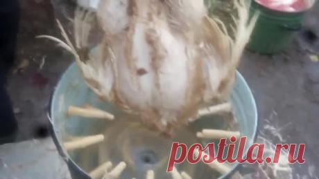 (45) Одноклассники