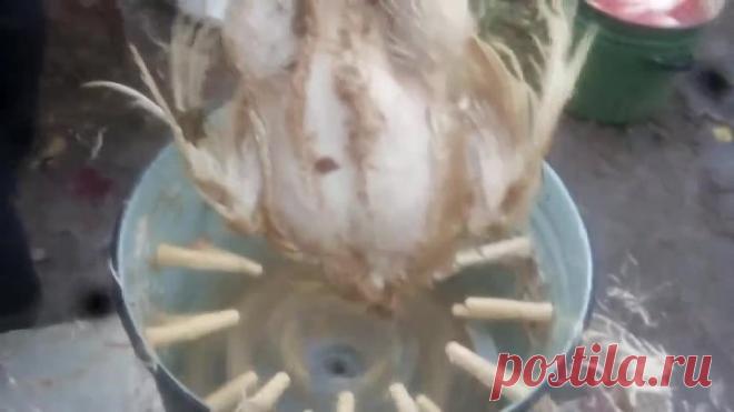 (45) Одноклассники