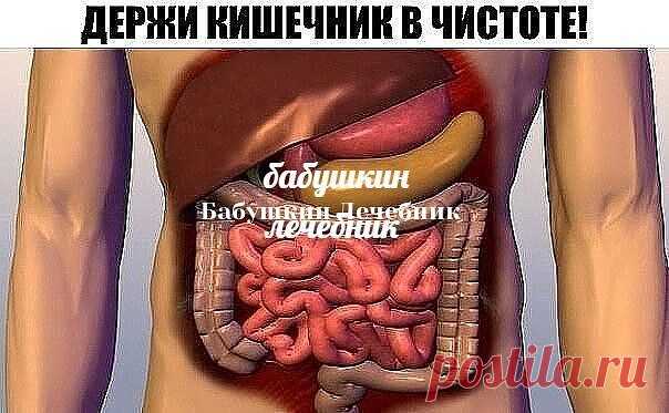 ДЕРЖИ КИШЕЧНИК В ЧИСТОТЕ! 
«Генеральную уборку организма» нужно начинать с пищеварительного тракта.
Каша для очистки кишечника. 
 Есть каша, которая прекрасно очищает кишечник. Раньше такой кашей детей спасали от неминуемой операции, когда они по ошибке глотали несъедобные предметы. Берем поровну овес и рис, промываем и варим, как обычную кашу, до загустения. Стакан смеси этих круп и залить 2,5 стакана воды. Едим кашу без масла, но можно слегка подсолить, вместо завтрака, ...