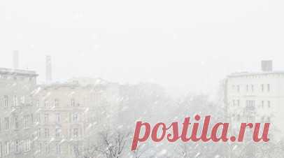 На Камчатку обрушился мощный циклон. На Камчатку обрушился циклон, вызвавший сильный снегопад. Из-за непогоды в регионе объявлено штормовое предупреждение, в нескольких районах края и по горным территориям была объявлена лавинная опасность. Читать далее