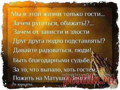 Дачники
Ирина Черникова