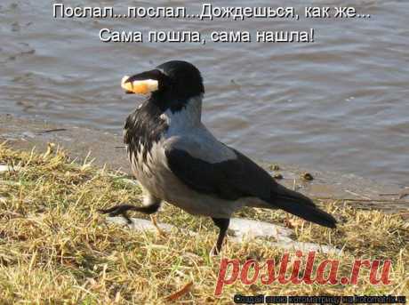 Интересные новости