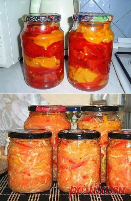 ВТОРОЙ ЛИСТ ОТ ТУИ