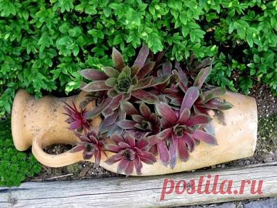 ИДЕИ ДЛЯ ДАЧИ И ДОМА | Записи в рубрике ИДЕИ ДЛЯ ДАЧИ И ДОМА | Дневничок Верунчика