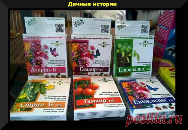 Биопрепараты от А до Я: подробный ликбез по биопрепаратам в вопросах и ответах. Часть 1 | Дачные истории | Дзен