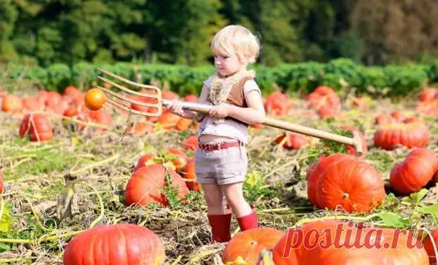 Что делать в сентябре – 30 самых важных дел в саду, огороде и цветнике - Огород, сад, балкон - медиаплатформа МирТесен Просматривайте этот и другие пины на доске сад пользователя Надежда Каминская.
Теги