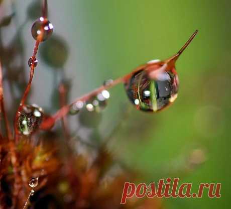 Интересные новости