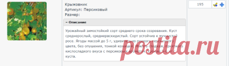 Личный кабинет