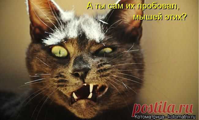 улыбнитесь!