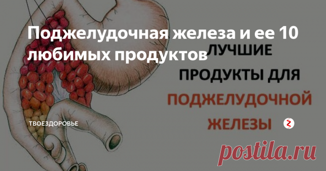 Поджелудочная железа и ее 10 любимых продуктов На востоке печень называют старшей царицей а принцессой называют поджелудочную железу. И действительно, этот орган очень важен для нашего организма и от него многое зависит. Что нужно делать человеку чтобы не разгневать эту капризную и своенравная принцессу?
