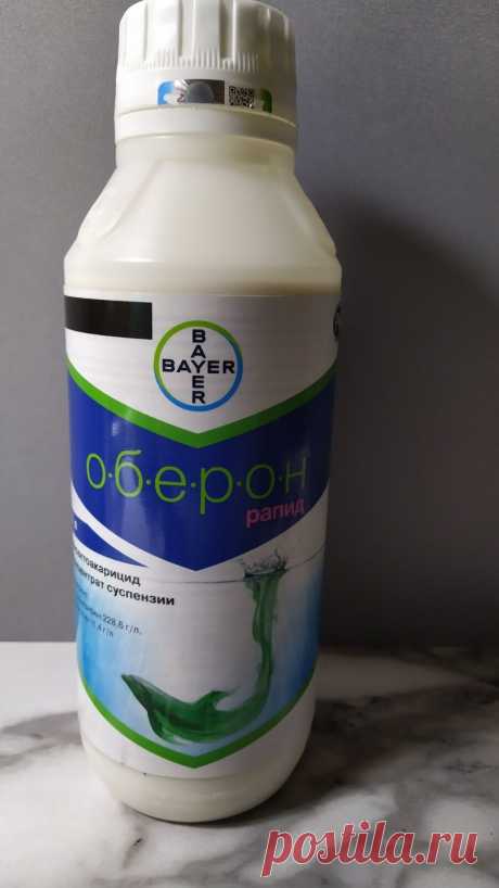 Орхидеи Ржев Юлия Оберон препарат против клещей