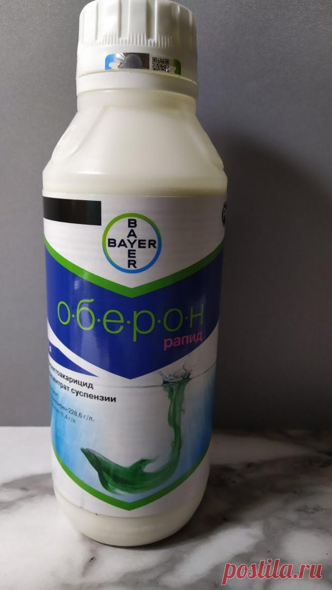 Орхидеи Ржев Юлия Оберон препарат против клещей