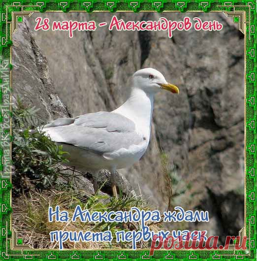 Народно-христианский праздник Александров день отмечается 28 марта. Верующие православной церкви в этот день чтут память трех святых с именем Александр: священномученика Сидского, пресвитера и двух среди восьми мучеников Кесарийских.