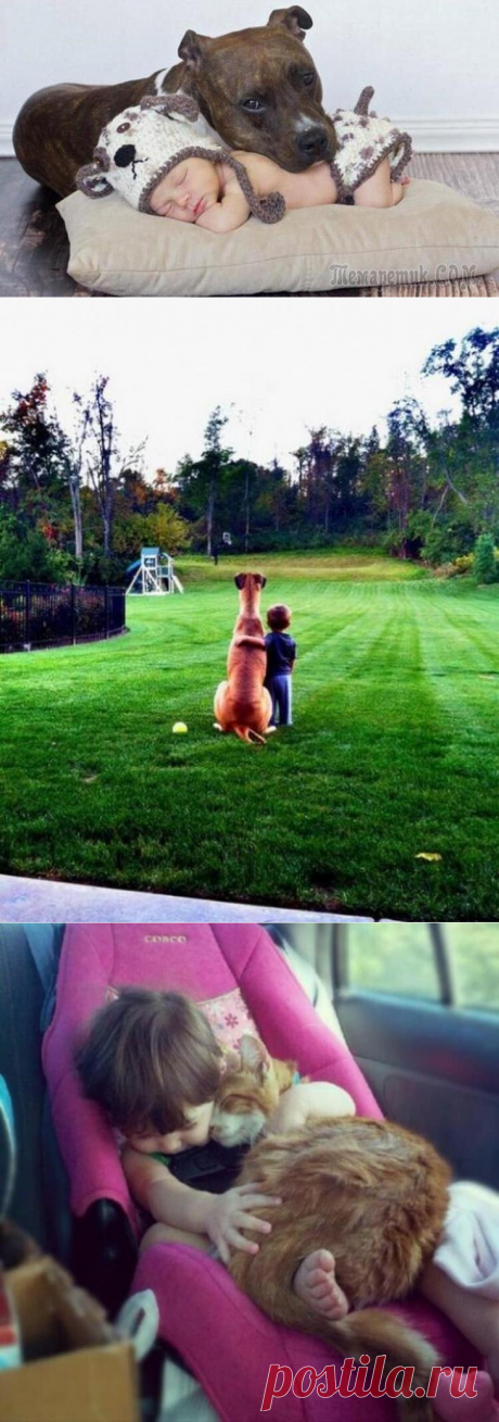 Так выглядит счастье: дети и животные