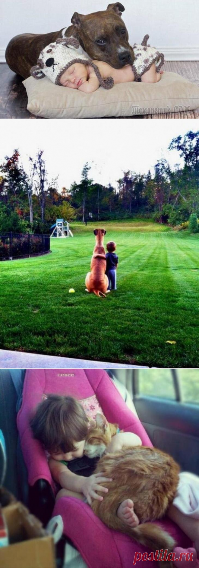 Так выглядит счастье: дети и животные