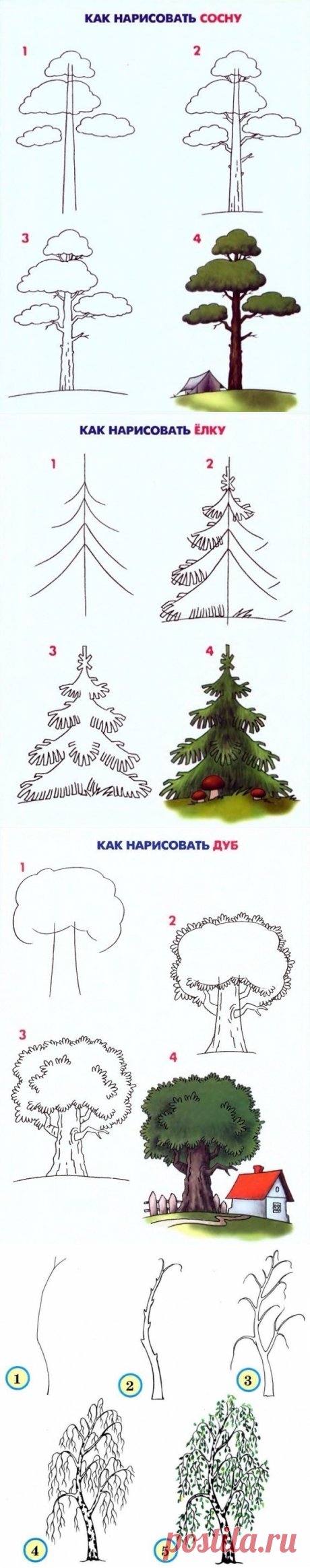 (54) Одноклассники