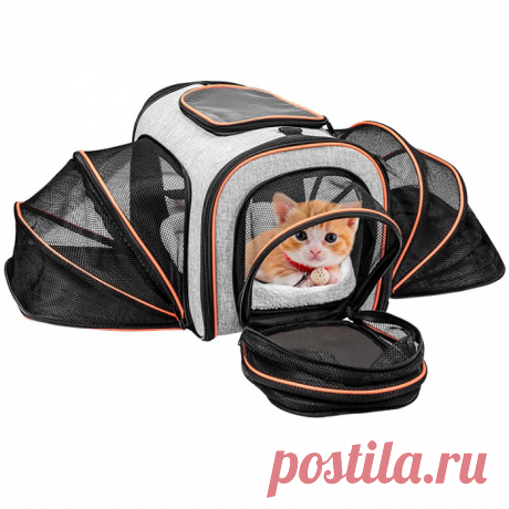 Сумка-переноска для кошки своими руками: выбор материала, выкройки, порядок шитья