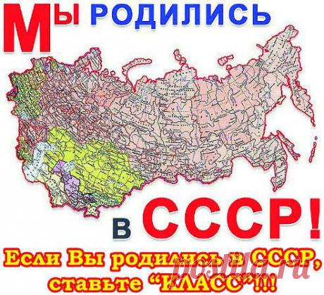 ВОТ МОЙ....НАШ РЕФЕРЕНДУМ.........)))))))