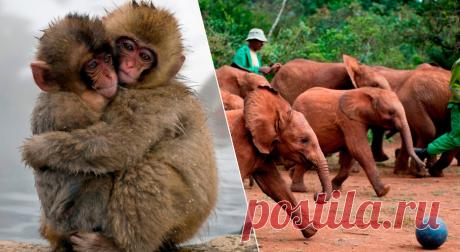 14 лучших документальных фильмов для детей | Журнал Домашний очаг