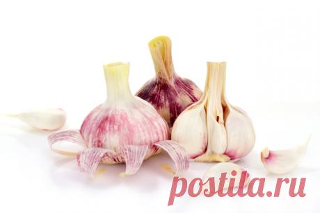 Чеснок с медом полезен для здоровья - Russian