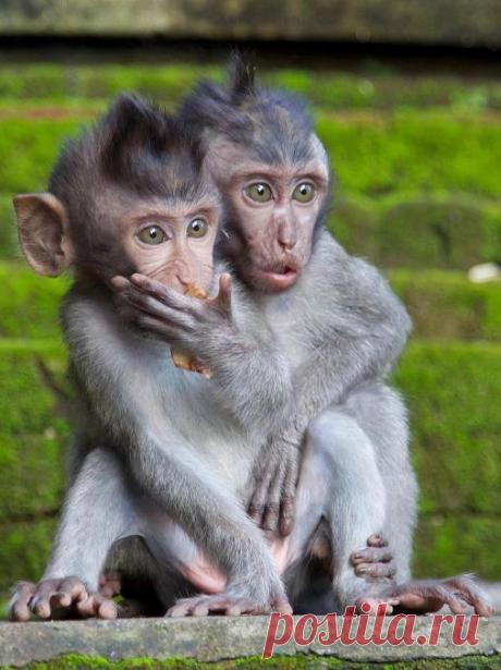 de75ef2026126b325a15252386746b35.jpg (506×676)