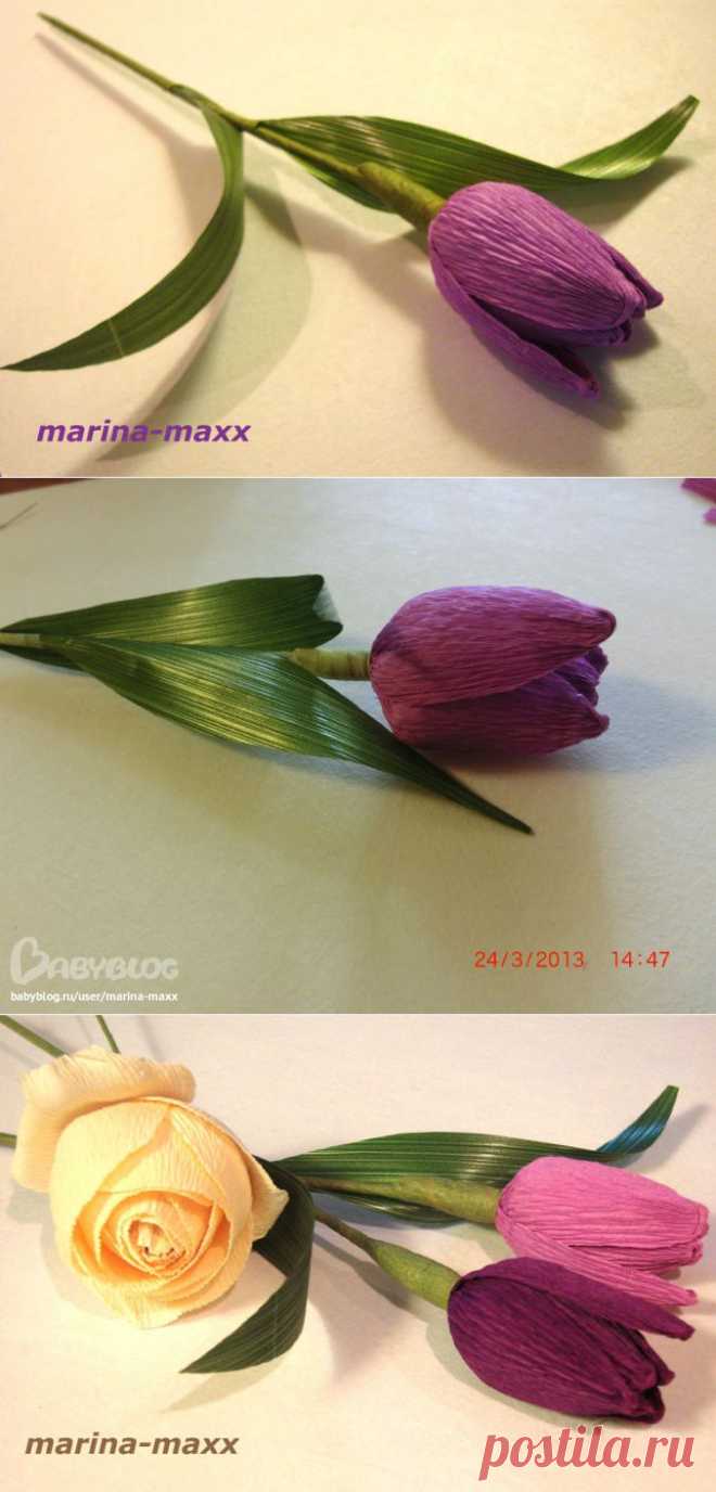 МК тюльпана. - Babyblog.ru