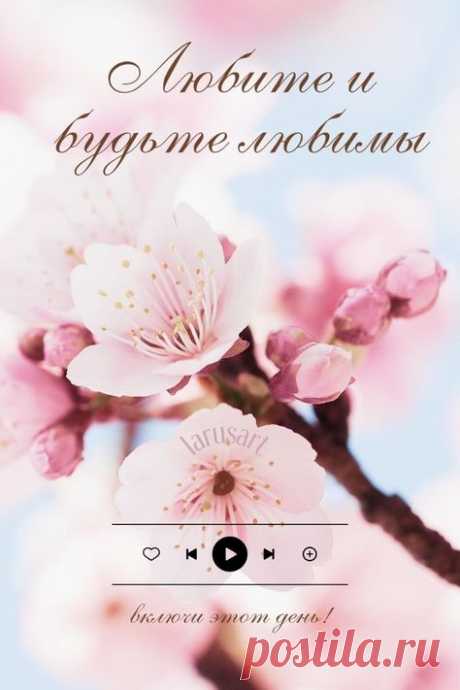 Фон для текста, фон с цветами, видеофоны скачивайте по ссылке в шапке профиля | Красивый Stories фон Background. Фоны для текста. Весенний фон. Яркий фон. Фон с тюльпанами. Цветочный фон. Пастельный фон для сторис. Идеи, как оформить тексты и сторис в соцсетях. Нежный фон. Обои сторис и идеи для оформления соцсетей, красивые фоны для телефона, оформление постов, тексты для соцсетей. Идеи оформления постов | #фоны_идеи #сторис #идеи_оформления #фоныдлятекста #background #скачать #весеннийфон