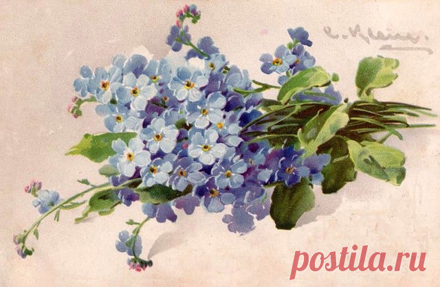 (59) Одноклассники