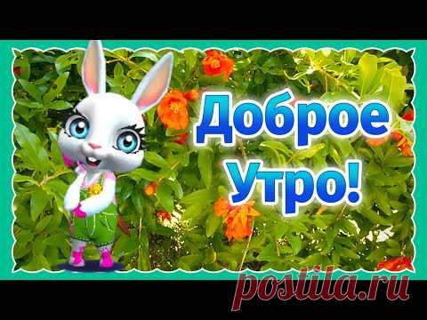 Доброе Утро Пожелания! Доброе Утро Хорошего Дня! Пожелание с Добрым Утром - YouTube