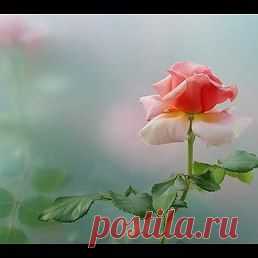 Юрий