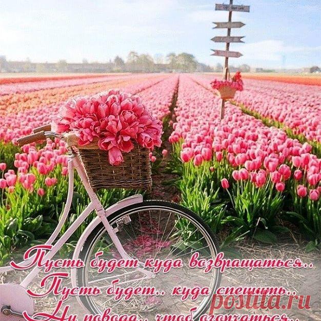 Photo by Natalia Elkhova on April 14, 2020. Image may contain: flower, plant, outdoor, nature and text