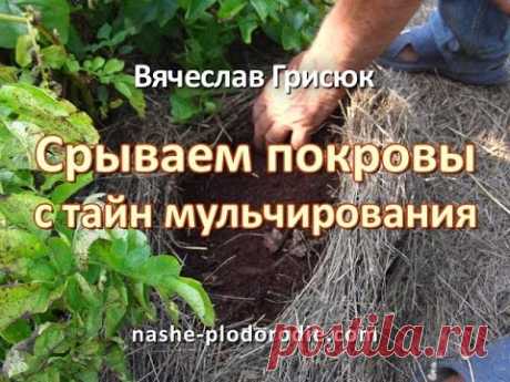 Мульча и мульчирование