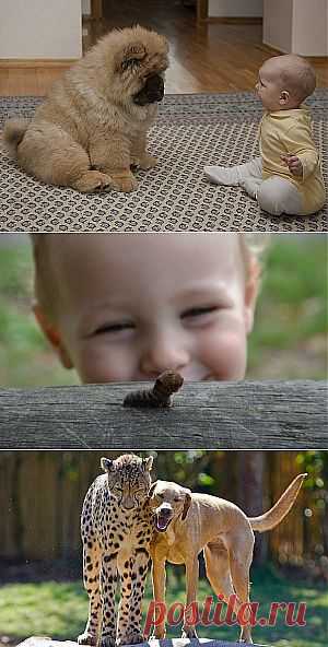 Больше, чем фото