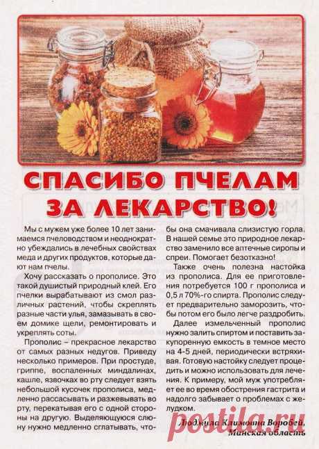 Спасибо пчелам за лекарство