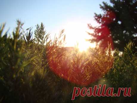 I love photography!!))