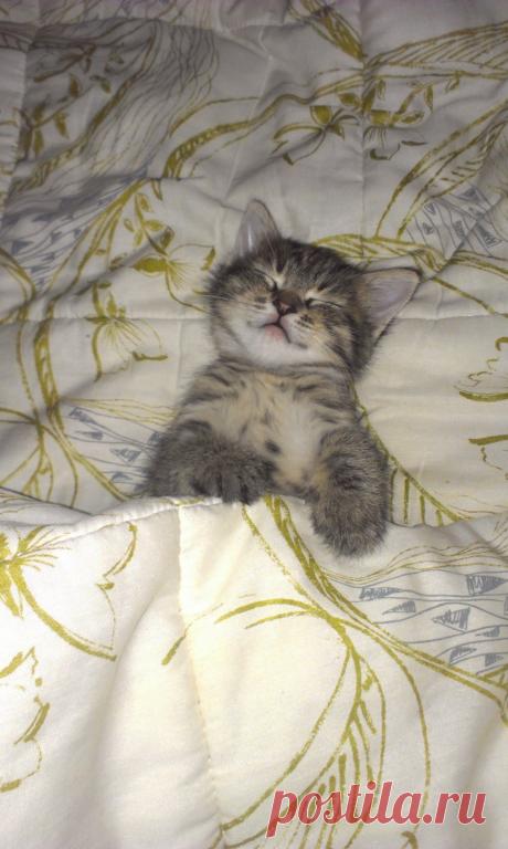 так теплее))