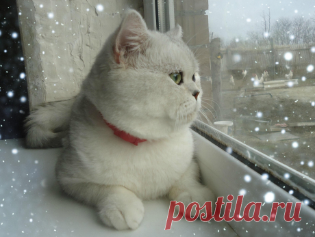 Новое фото Назара.