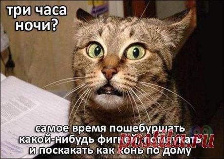 Книга рукоделия Вязание шитье, вышивка, рецепты