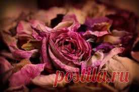 Фотографии Sûfi ile Terapist - Sûfi ile Terapist