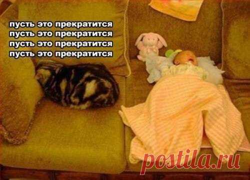 Свежие прикольные картинки для Вас и Ваших друзей (100 фото)