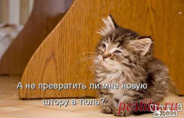 Новости
