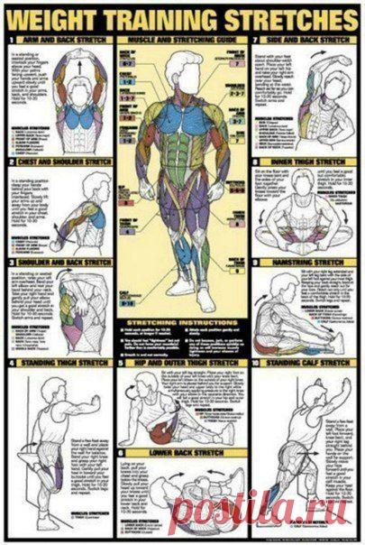 Лучшая подборка упражнений на все группы мышц!сохрани,чтобы не потерять! | Golbis