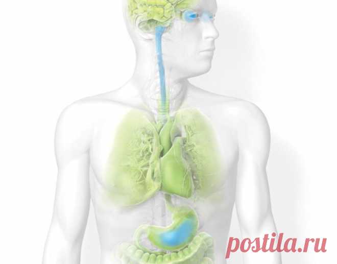 Законы оздоровления по системе академика Болотова / Будьте здоровы