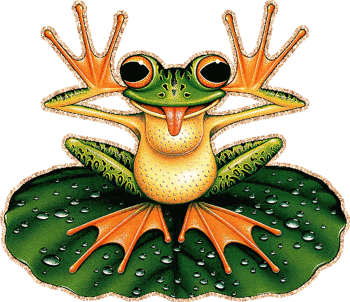 картинки лягушек прикольные: 19 тыс изображений найдено в Яндекс.Картинках