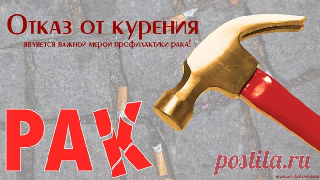 Профилактика рака: Как избежать возникновения онкологических болезней? 

Курение - очень опасная привычка. Лучше всего, конечно же, бросить курить как можно раньше, но не всегда так все просто.

Существуют различные методы для того чтобы отказаться от табакокурения. Может, есть смысл попробовать?